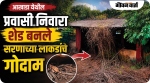आखाडा येथील प्रवासी निवारा शेड बनले ‘सरणाच्या लाकडांचे गोदाम’