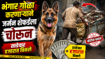 जर्मन शेफर्ड कुत्र्याची चोरी, साडेचार हजाराला विक्री