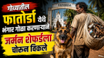 जर्मन शेफर्ड कुत्र्याची चोरी, साडेचार हजाराला विक्री