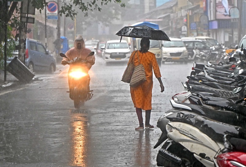 पावसाचा जोर ओसरला; पडझड कायम