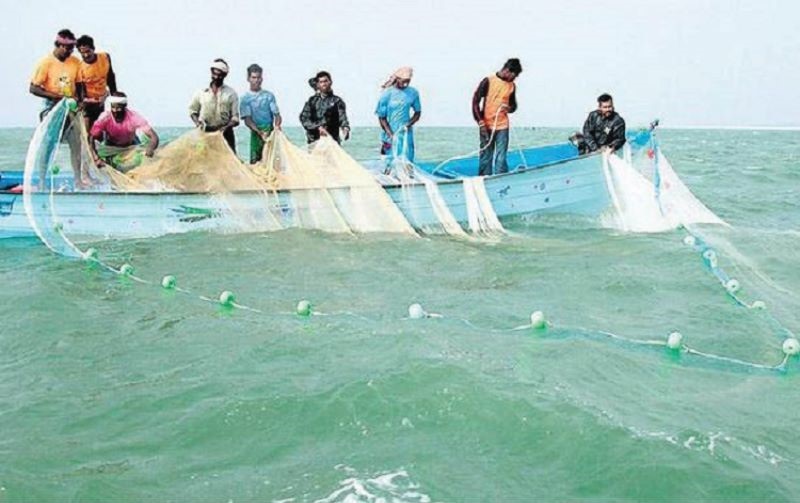 सुंगटा, खुबे, इसवणाच्या तुलनेत बांगड्यांचे उत्पादन जास्त