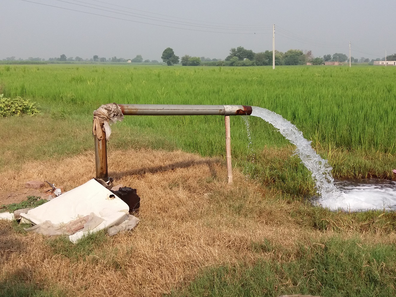 गोव्यातील भूजल सर्वांत स्वच्छ