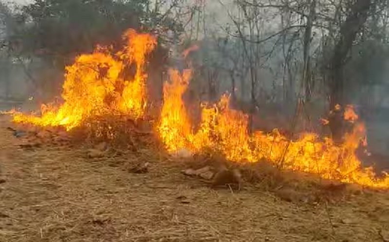 सत्तरी तालुक्यात एकाच दिवसात दोन ठिकाणी आग