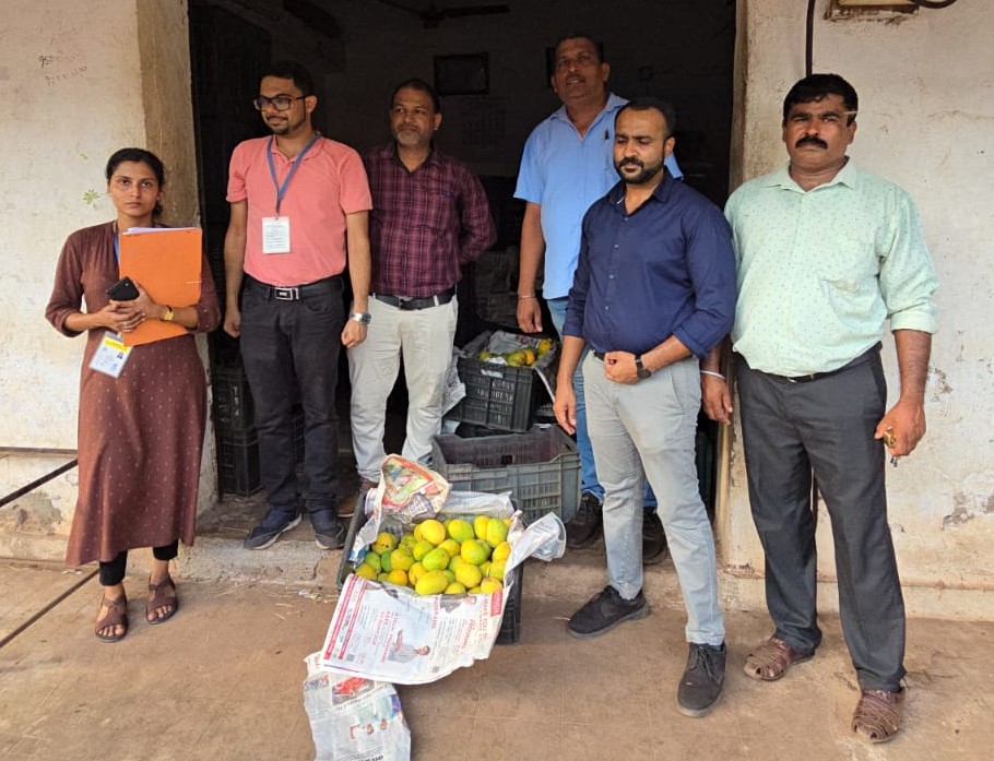 सावधान ! गोवेकरांनो तुमच्या ताटातला आंबा केमिकलने पिकवलाय? म्हापशात एफडीएची मोठी कारवाई