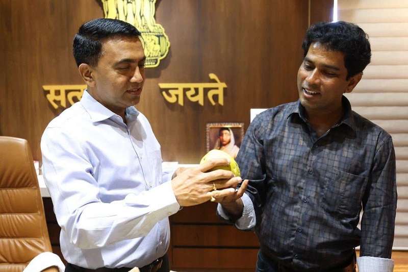 बार्देश : शिवोलीतील शेतकऱ्याने पिकवला सोन्यापेक्षाही महाग आंबा