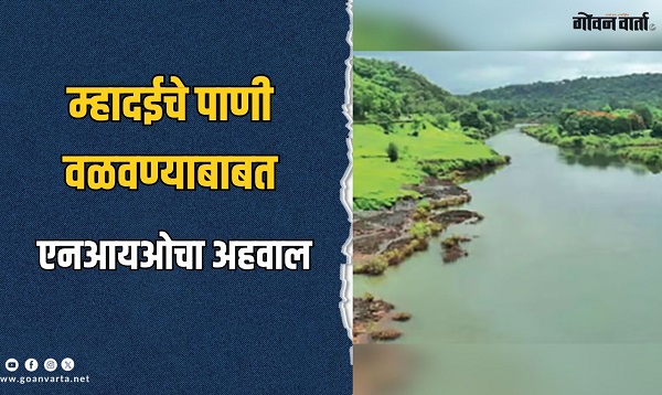 म्हादईचे पाणी वळवले तरी गोव्यावर फारसा परिणाम नाही!