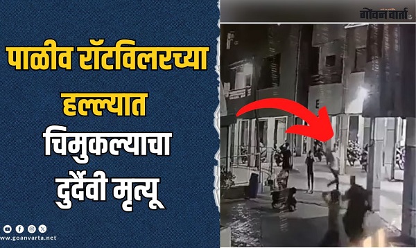 धक्कादायक! अहमदाबादमध्ये पाळीव रॉटविलरच्या हल्ल्यात चार महिन्यांच्या बाळाचा मृत्यू