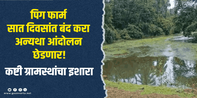 केपे : कष्टी-काले येथील पिग फार्ममुळे गावातील मुख्य नाला दूषित; ग्रामस्थ संतप्त
