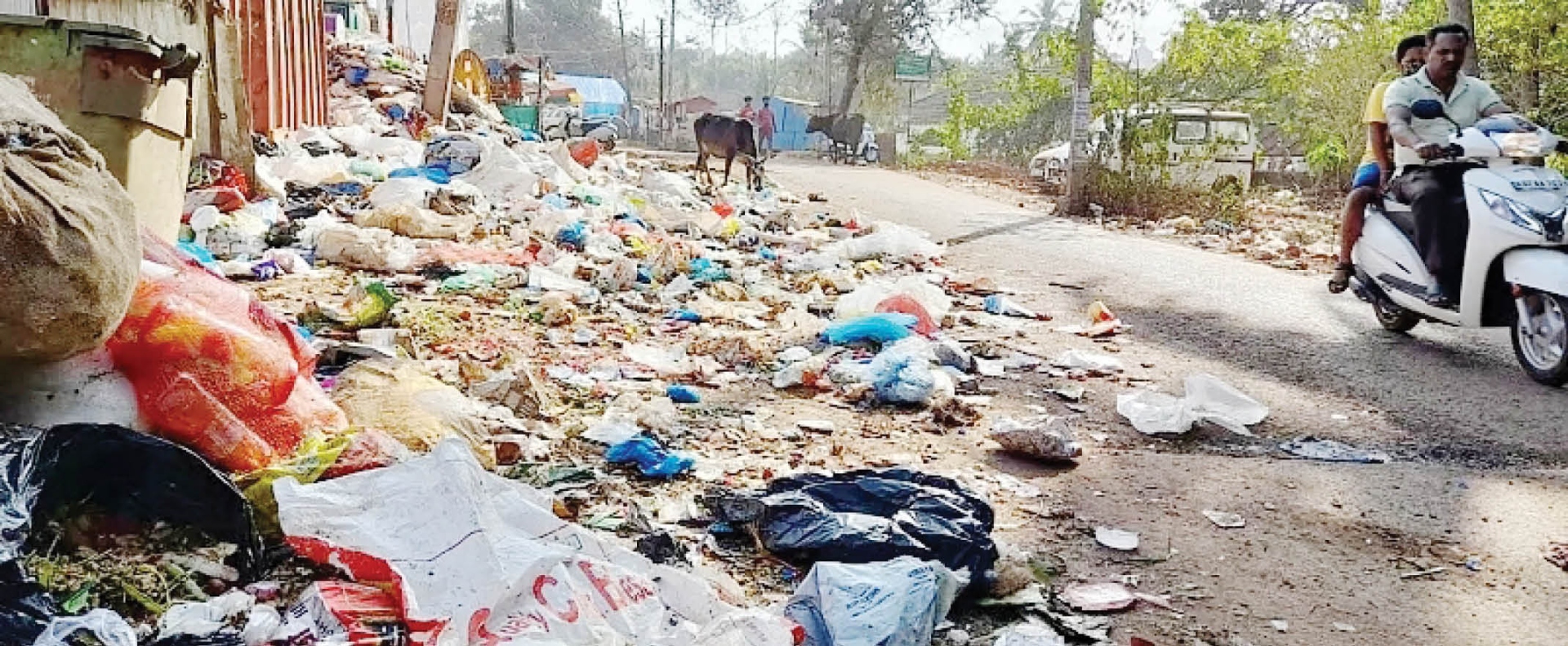 प्लास्टिक कचऱ्याची समस्या