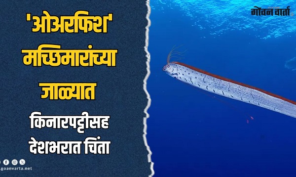 भारतात नव्या संकटाची चाहूल? तामिळनाडू किनाऱ्यावरील घटनेने वेधले सर्वांचे लक्ष