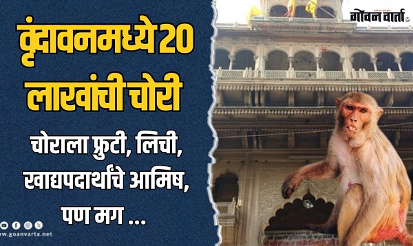मथुराः चोर झाडावरून आला आणि दागिन्यांची पर्स घेऊन पसार झाला