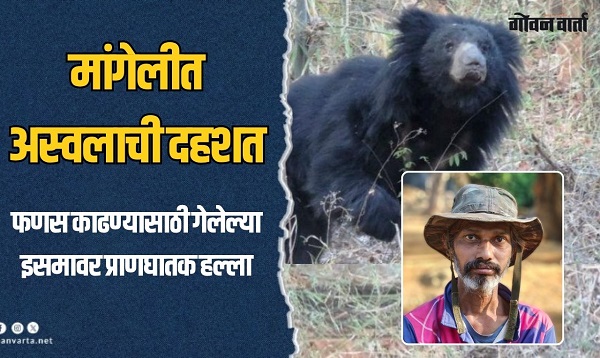 दोडामार्गः फणस काढण्यासाठी गेलेल्या इसमावर अस्वलाचा हल्ला