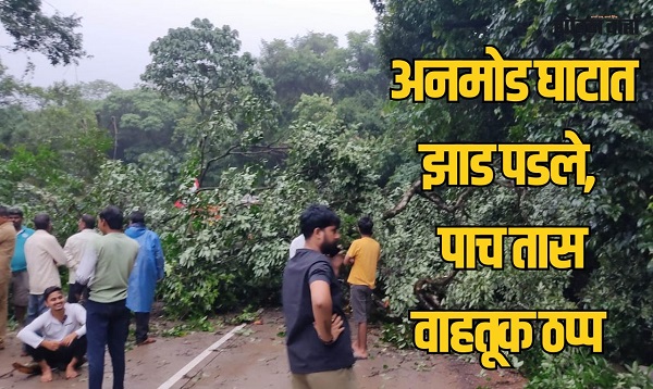 अनमोड घाटात झाड पडल्याने पाच तास वाहतूक ठप्प
