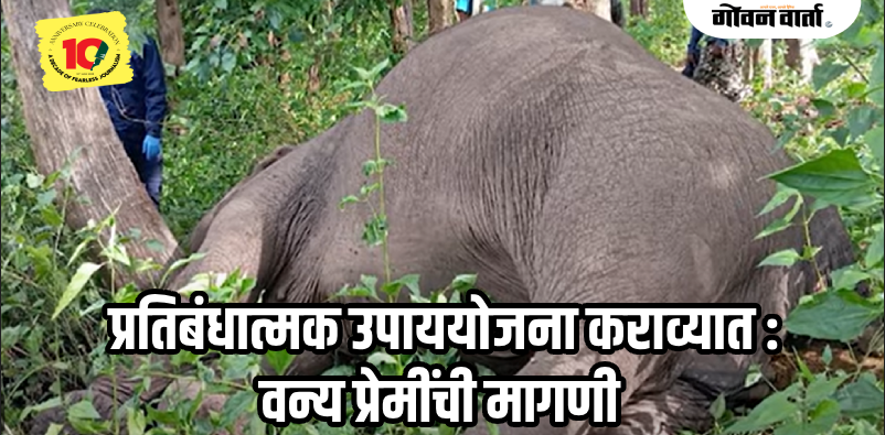 कर्नाटक : हाय वोल्टेज विजेच्या तारांना स्पर्श होऊन अंबिकानगर जंगलात हत्तीचा दुर्दैवी मृत्यू