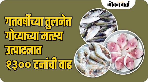 गतवर्षीच्या तुलनेत गोव्याच्या मत्स्य उत्पादनात १,३०० टनांची वाढ
