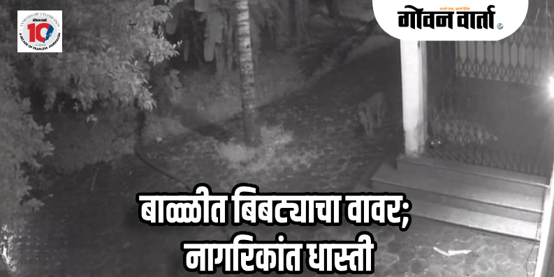 केपे : मानवी वस्तीत शिरला बिबट्या; कुत्र्याच्या भुकण्याने घाबरला आणि ठोकली धूम!