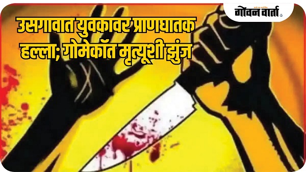 उसगावात युवकावर प्राणघातक हल्ला; गोमेकॉत मृत्यूशी झुंज