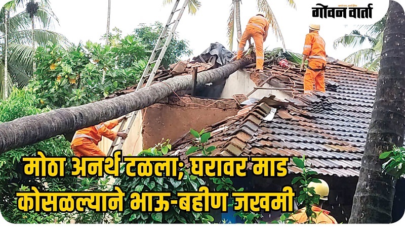 घरावर माड कोसळून भाऊ-बहीण जखमी