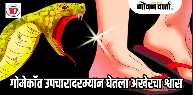 मडगाव : सर्पदंशामुळे नेसाय-कुडतरीतील महिलेचा मृत्यू