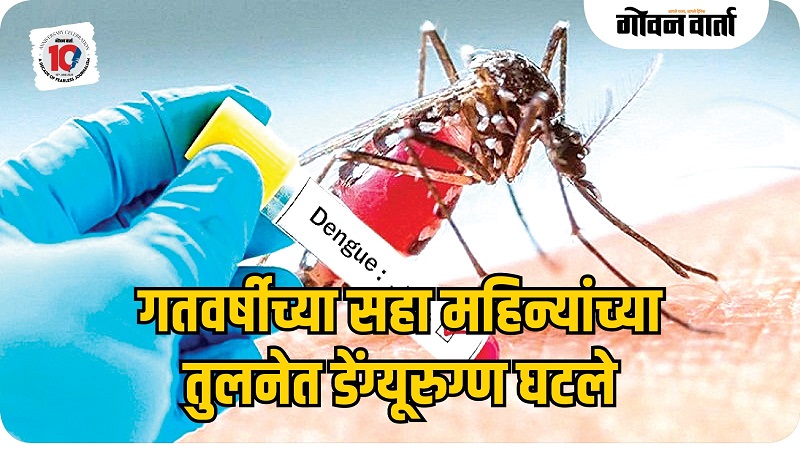 डेंग्यूचा डंख निष्प्रभ; रुग्णसंख्येत चारपटीने घट