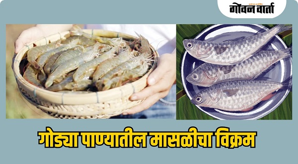 गोड्या पाण्यातील मासळी उत्पादन विक्रमी पातळीवर