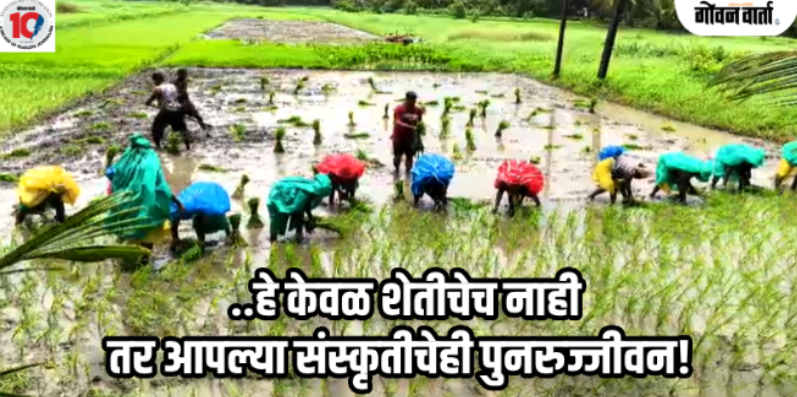 वास्को : वेळसाव येथे पारंपरिक शेतीला नवे बळ; शेतकरी संघटनेने घेतला पुढाकार