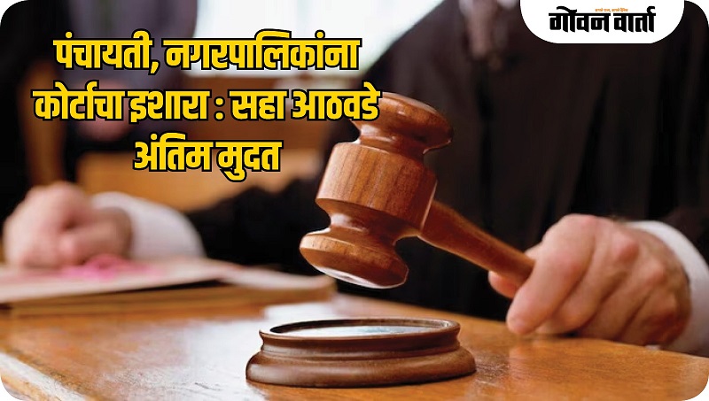 पंचायती, नगरपालिकांना प्रतिज्ञापत्रासाठी ६ आठवड्यांची अंतिम मुदत
