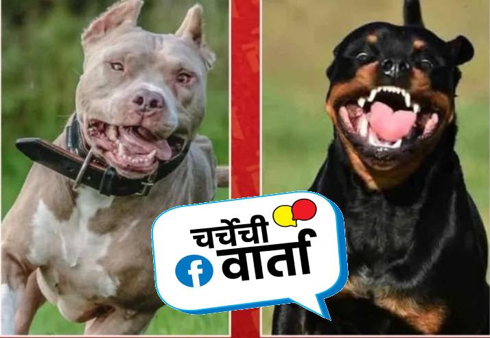 रॉटविलर, पिटबूल या सारख्या हिंस्र कुत्र्यांवरील बंदी विधेयकाचे स्वागत