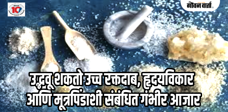 आरोग्य वार्ता : जास्त मीठ आरोग्याला अपायकारकच! ICMR-NIEने जारी केला इशारा