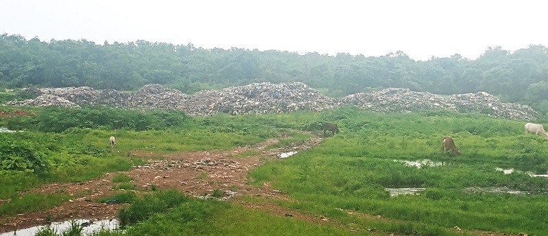 आसगाव पठारावरील कचरा हटविण्याचे म्हापसा पालिकेला निर्देश