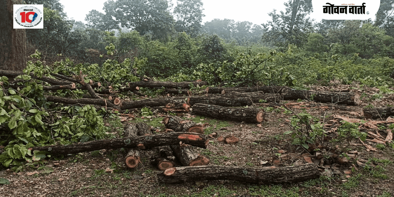 ३०० वृक्ष तोडीच्या प्रस्तावांवर प्राधिकरणाची उद्या बैठक