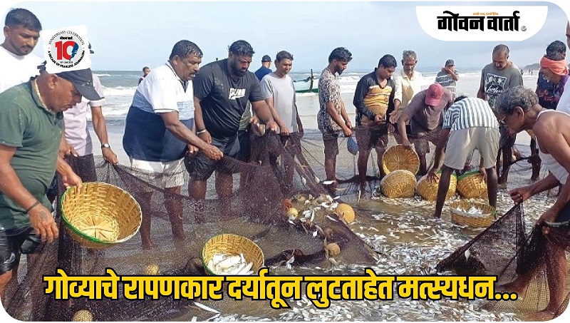 गोवा : फेसाळत्या दर्यातून रापणकार लुटताहेत मत्स्यधन...