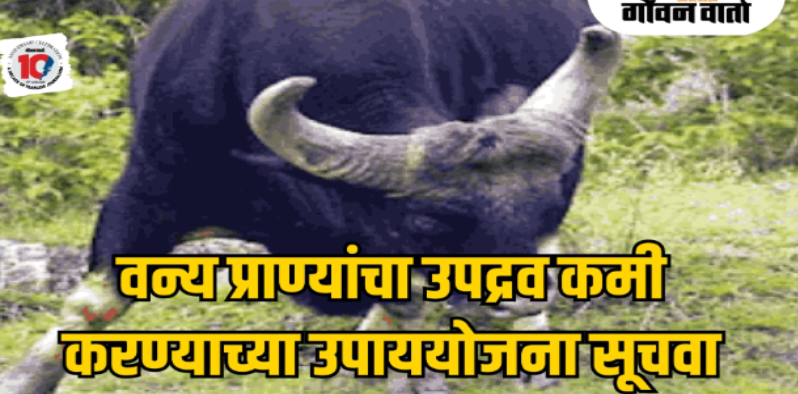 वन्यप्राणी- मानव संघर्ष; उपाय सूचवण्यासाठी होणार अभ्यास