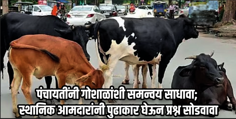 रस्त्यांवरील भटक्या गुरांचा प्रश्न तीन महिन्यांत तडीस लावला जाईल : मुख्यमंत्री डॉ. सावंत
