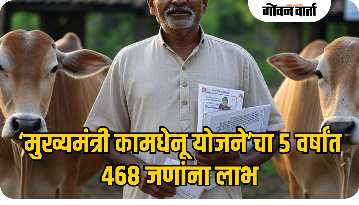 ‘मुख्यमंत्री कामधेनू योजने’चा ५ वर्षांत ४६८ जणांना लाभ