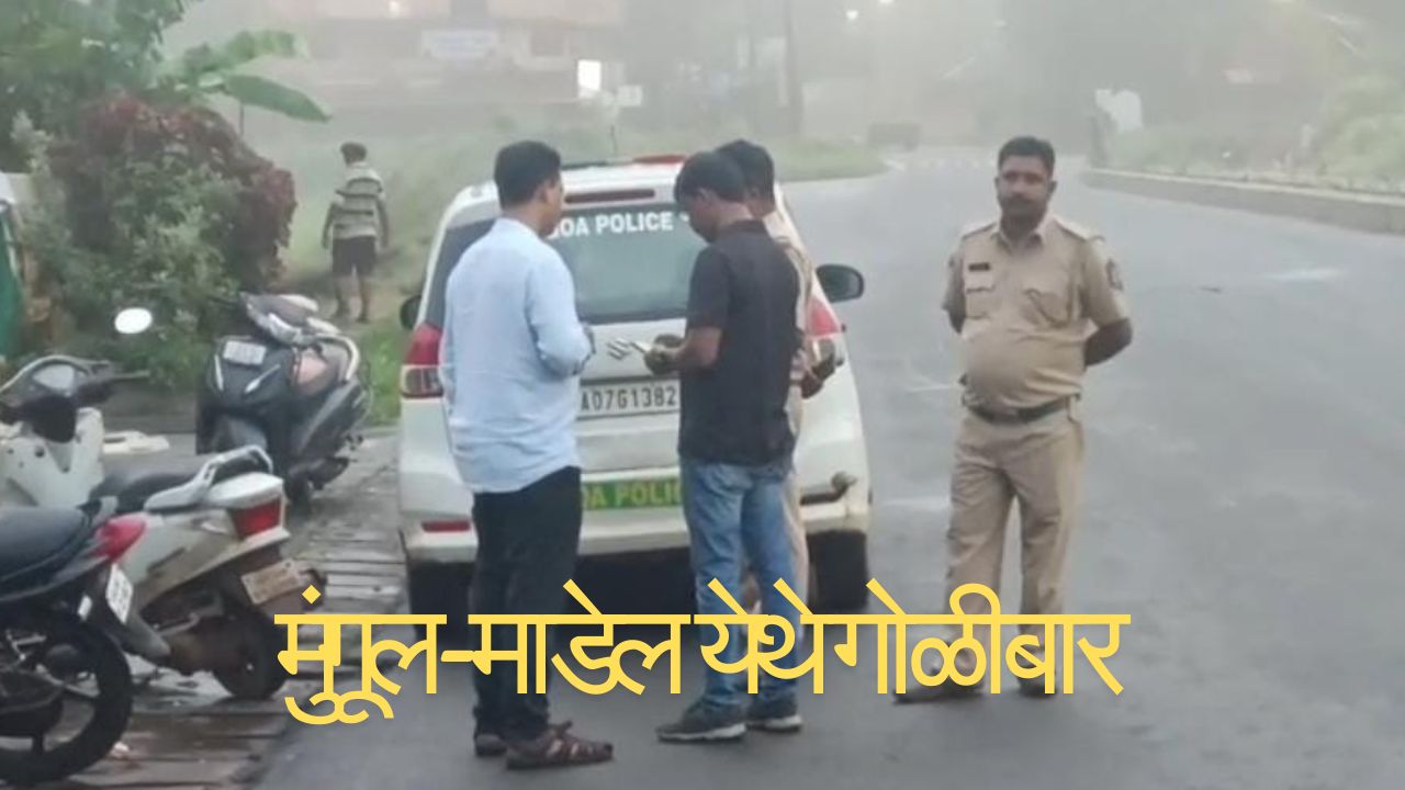 गाडी अडवून कोयता, तलवार, दांड्याने हल्ला, गाडीवर गोळीबार