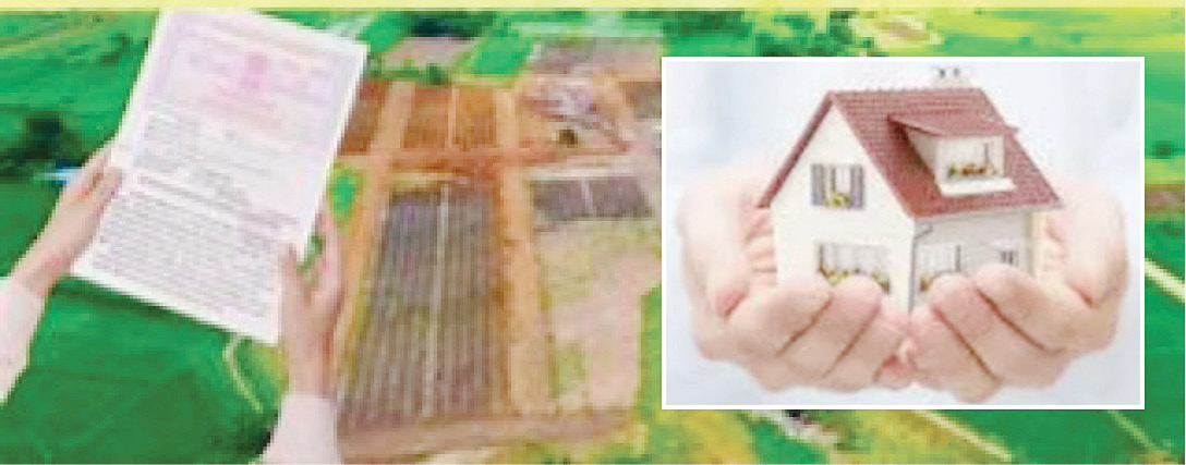 आफ्रामेंत व मोकासे कसणाऱ्यांना मालकी हक्क द्या !