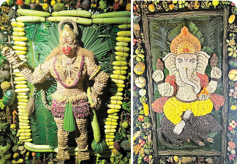 वेधक माटोळ्या