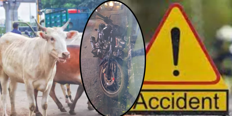 रस्त्यात उभ्या असलेल्या बैलाला चुकवण्याच्या प्रयत्नात दुचाकीचा अपघात; दुचाकीस्वार ठार