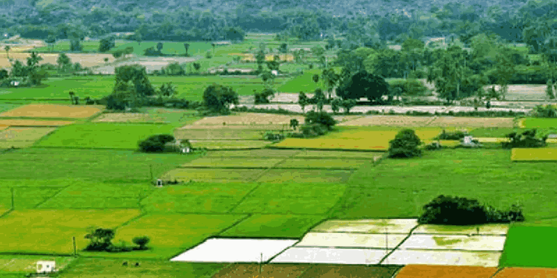 भूखंड देण्याचे आमिष दाखवून एकाची ४२.५० लाखांना फसवणूक