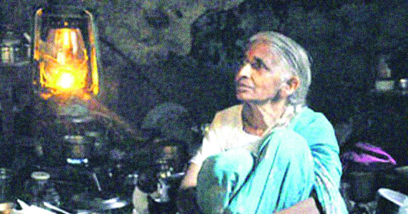 डॉ. हेमा साने : निसर्गाशी जवळीक साधणाऱ्या वनस्पतिशास्त्रज्ञ