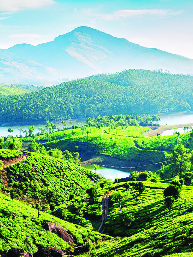 वायनाड – एक अविस्मरणीय ठिकाण