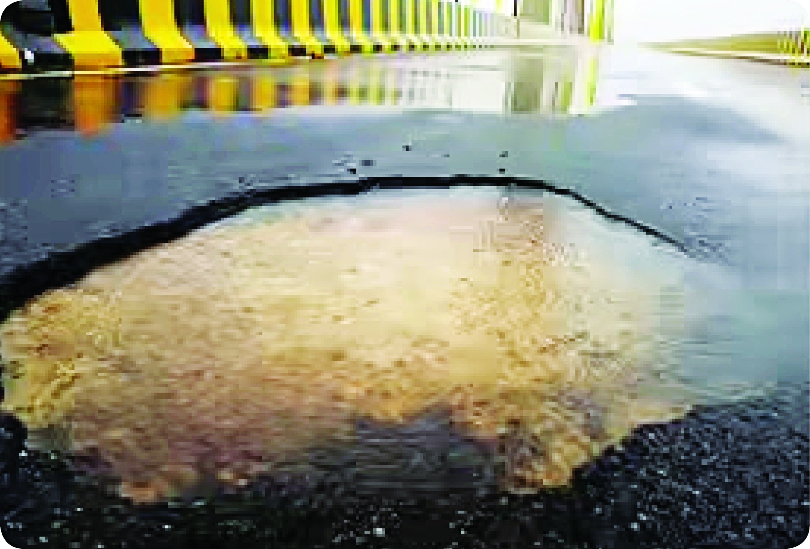 गोव्याच्या प्रतिमेवर रस्त्यावरील खड्डे गालबोट