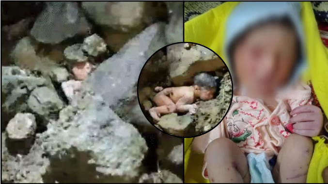 एमपी : नोकरी वाचवण्यासाठी शिक्षक पित्याने नवजात बाळाला जंगलात सोडले; वरून ठेवले दगड