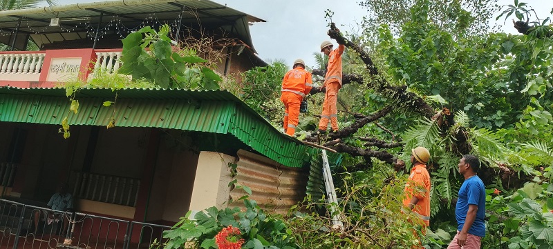चार महिन्यांत राज्यात १४२ आगीच्या घटना