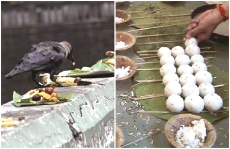 निसर्ग संवर्धनाचा पितृपक्ष