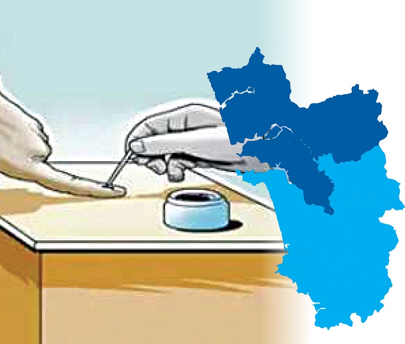 राज्यात जिल्हा पंचायतींसाठी १३ डिसेंबर रोजी मतदान