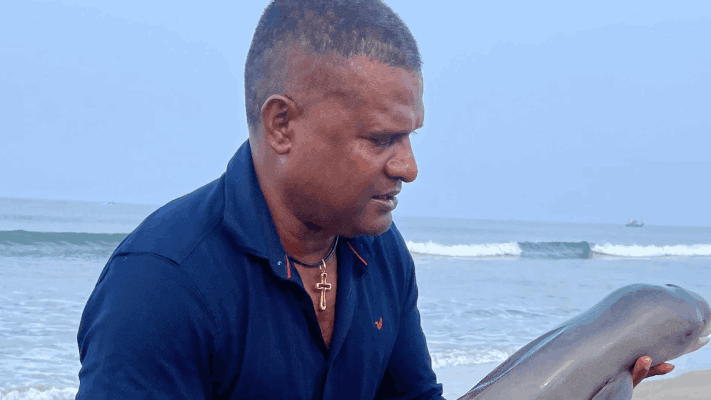 बाणावली समुद्रकिनाऱ्यावर सापडला मृत छोटा डॉल्फिन