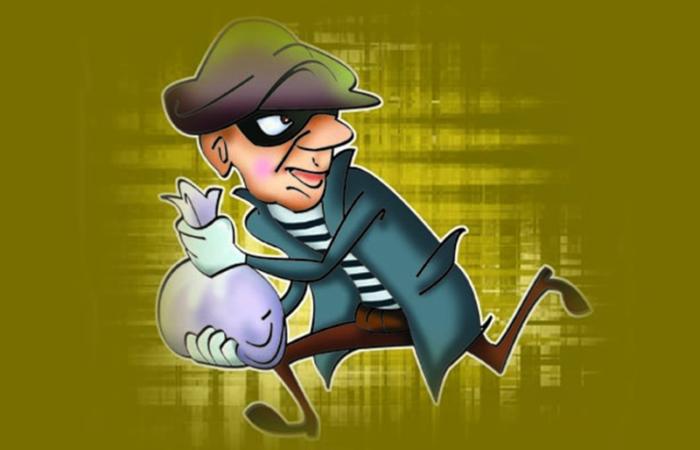 रेल्वेप्रवासात २०.६० लाखांचा मुद्देमाल लंपास