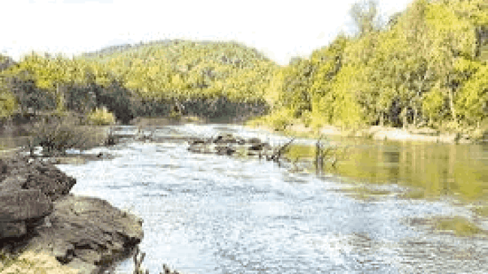 ९ महिन्यानंतर उद्या होणार म्हादई सभागृह समितीची बैठक